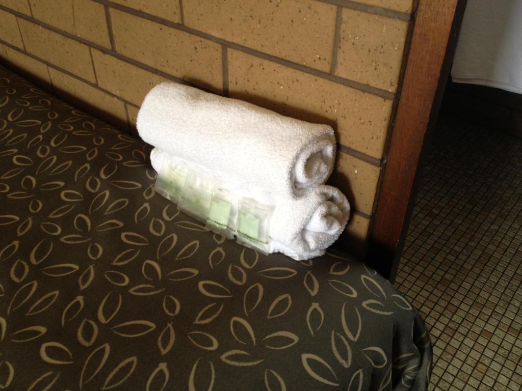 Rippleside Park Motor Inn Geelong Chambre photo